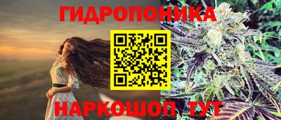 ALPHA PVP Малгобек