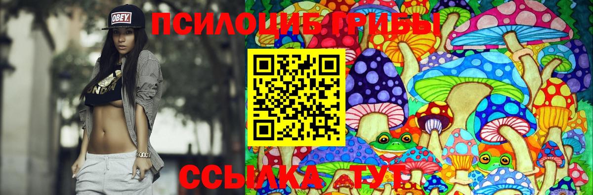 Псилоцибиновые грибы Psilocybine cubensis  Вход с VPN  как найти закладки  Десногорск 